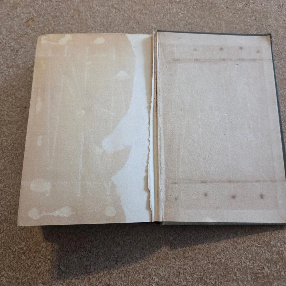 Harper & Brothers‎ The Expert Waitress Book 1911 Anne Frances Springsteed Green